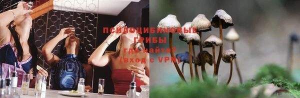 амф Алексеевка