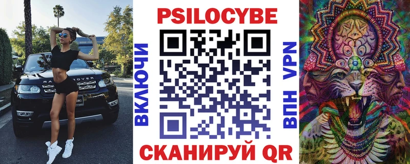 Галлюциногенные грибы Psilocybe где продают наркотики Аргун